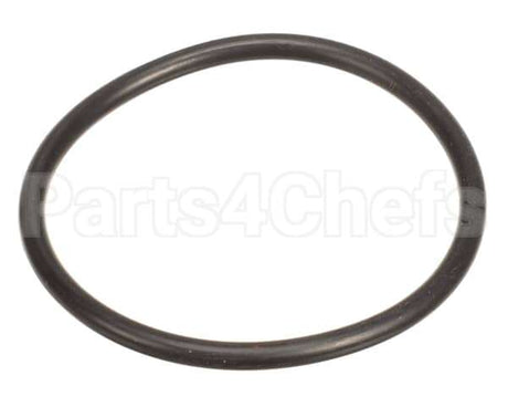 4010-01539 Insinger O-Ring, Drain Valve Body Seat(