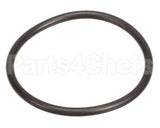 4010-01539 Insinger O-Ring, Drain Valve Body Seat(
