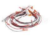 402025 Fetco Harness Low Amp Electrical