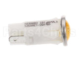 407714 Legion Indicator Light