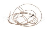 408494 Legion Probe