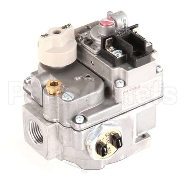 410841-00029 Compatible Vulcan Valve, Combination