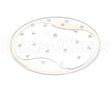 41160.0001 Bunn Sprayhead, Flexible 21 Hole