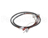 41202.0001 Bunn Wiring Harn,Lit-Led Prtn Ctrl