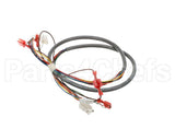 41202.0008 Bunn Wiring Harness, Door-Cbdspct
