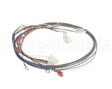 41202.0012 Bunn Wiring Harn, Door Pc-Juice (Disp Sw)