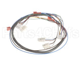 41202.0012 Bunn Wiring Harn, Door Pc-Juice (Disp Sw)