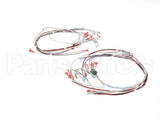 41390.7011 Bunn Wiring Harness,Tgl Dgtl Timer
