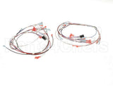 41390.7011 Bunn Wiring Harness,Tgl Dgtl Timer