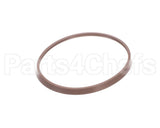 41680 Power Soak Systems Gasket, Pump Adapter Casing