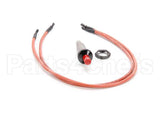 4181 Nieco Pilot Igniter W/Two 20 Wires