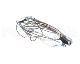 4204-47 Southbend Range Wire Harness
