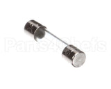 420468-02 Hoshizaki Fuse
