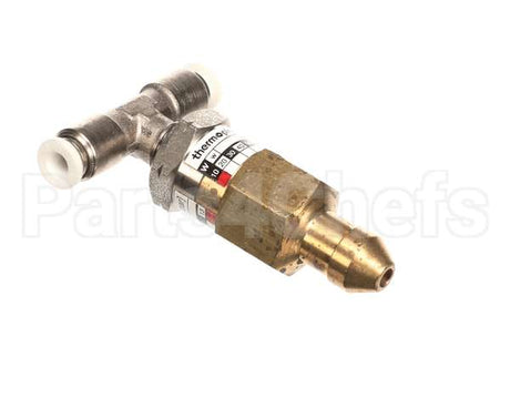 42800.1048 Thermoplan Chek Valve 16.5 Bar Set