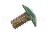 433304-02 Hoshizaki Screw Grounding