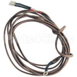 43442 Compatible Crown Steam Thermocouple, 100"