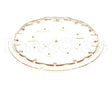 43920.0006 Bunn Sprayhead, 21 Hole Plastic Wav