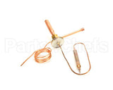 443981-01 Hoshizaki Expansion Valve