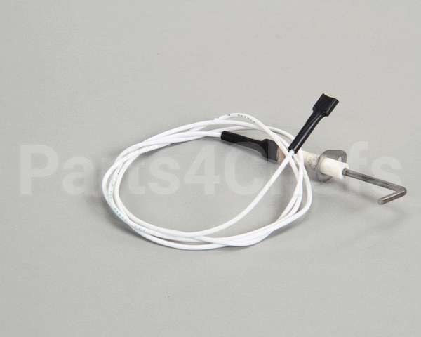 4523415 Garland Sensor, Dsi Burner Pack