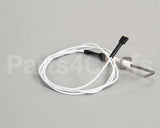 4523415 Garland Sensor, Dsi Burner Pack
