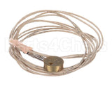 455604 Legion Probe