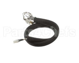 455946 Legion Pilot Burner Ignitor Sensor