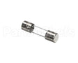 4600129 Garland Fuse - 250V Iec Slo-Blo 5X20Mm