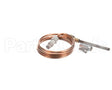 460274 Legion Thermocouple