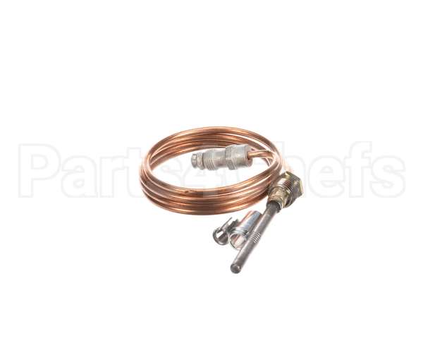 460274 Legion Thermocouple
