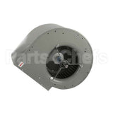 461549 Accurex Blower,Lau,#02869465P 3/4Shaft 3