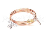 4619800100 Jade Thermocouple, 36 T 46 (Baso)