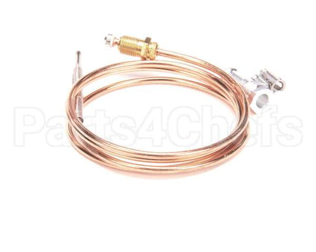 4619800100 Jade Thermocouple, 36 T 46 (Baso)