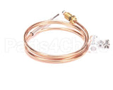 4619800100 Jade Thermocouple, 36 T 46 (Baso)