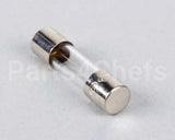 4621-02 Nieco Fuse, 2 Amp