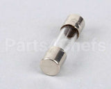 4621-02 Nieco Fuse, 2 Amp