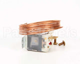 46307 Cornelius Thermostat Water