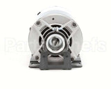 4805 Multiplex Motor Electric 1/3 Hp 110/220V