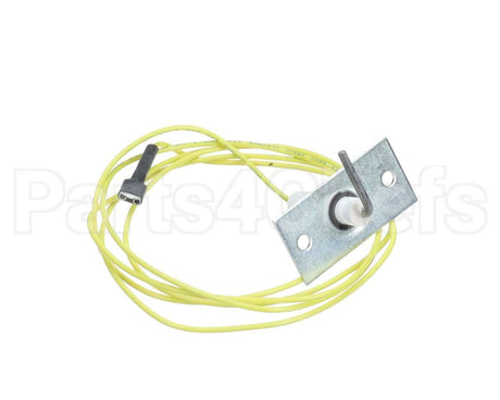 48DP500613 Bryant Payne Flame Sensor