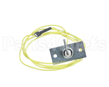 48DP500613 Bryant Payne Flame Sensor