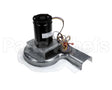 48TM000646 Bryant Payne 208/230V 1Ph Draft Ind Motor