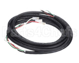 49219 Robot Coupe Power Cord Ul 16Awg 3 Phases