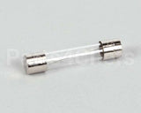 4A0893-07 Hoshizaki Fuse Agc 10