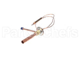 4A1684-02 Hoshizaki Valve-Txv