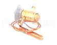 4A4196-01 Hoshizaki Expansion Valve