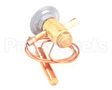 4A4196-01 Hoshizaki Expansion Valve