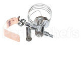4A6869-01 Hoshizaki Valve-Expansion