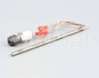 50089 Blodgett Probe,Rtd 1K W/Fitting