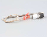 50089 Blodgett Probe,Rtd 1K W/Fitting