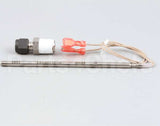 50089 Blodgett Probe,Rtd 1K W/Fitting