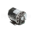 5009598 Compatible Multiplex Motor Carb Pump 120V Or 220V